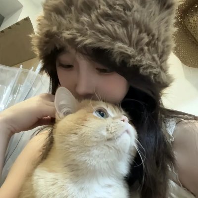 甄嬛传 海报